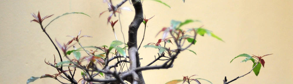 Das Blog von fmuehlau