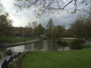 IMG_9412