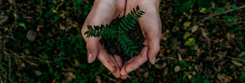 ZfSustainable